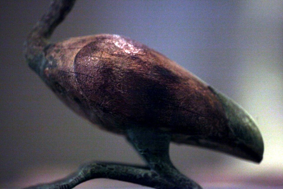 Thot ibis-A 2004-93-IMG 0903