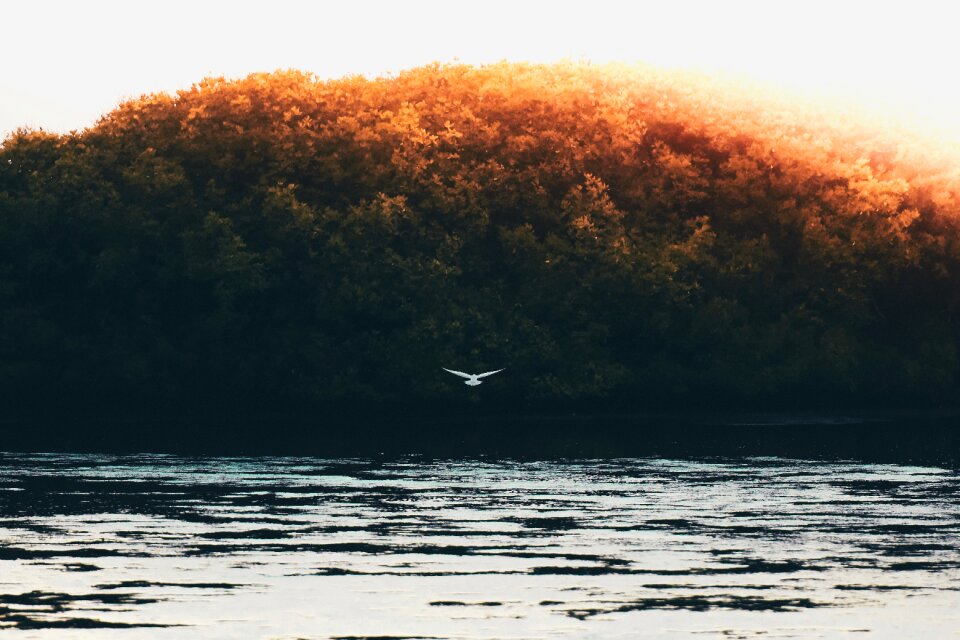 Nature lake water