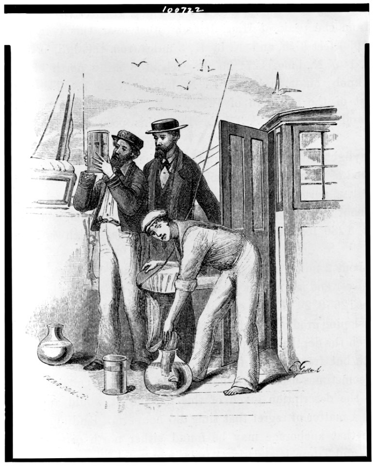 Three men on deck of the H.M.S. Challenger studying Medusae, jellyfish) - E. Gulland ; Pearson, sc LCCN90713828