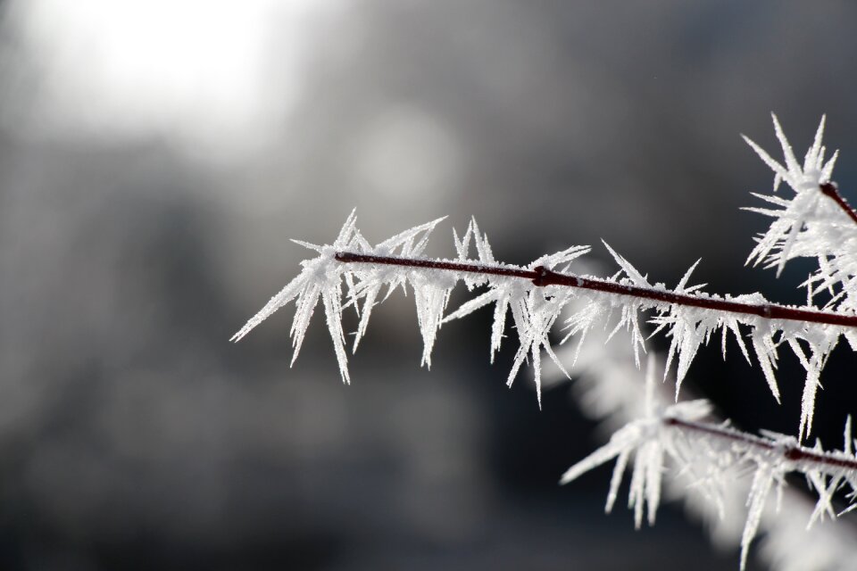 Cold wintry eiskristalle