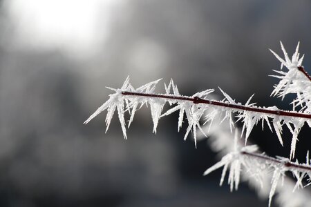 Cold wintry eiskristalle