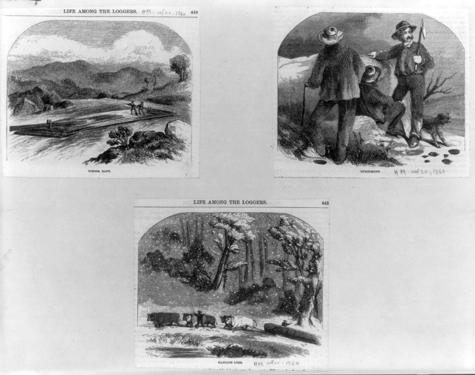 Three illustrations- 1. Timber raft; 2. Lumbermen; 3. Hauling logs by oxen LCCN2006675943