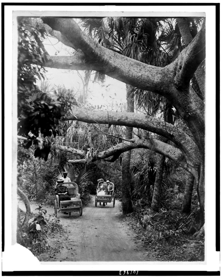 Three people riding in two wheeled chairs pushed by two men, in wooded area, Palm Beach, Florida LCCN90714807