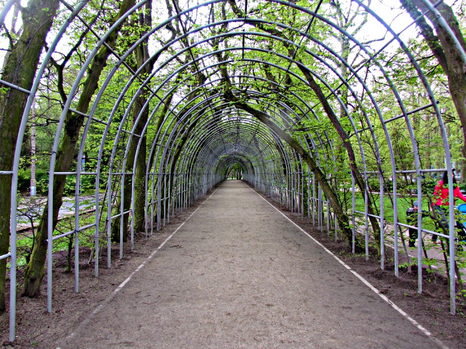 Spring the path nature
