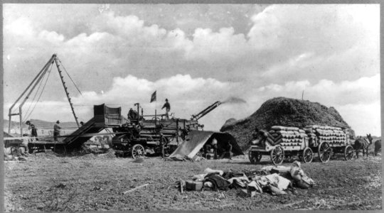 Threshing machine in operation, Ventura, California LCCN2012646390