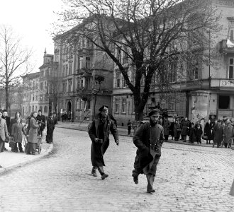 Thuringia 45 55