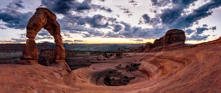 Plant grass mountain photo