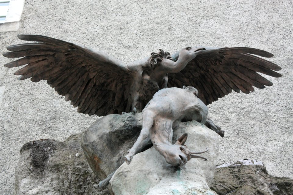 Théo Lanne - Vautour et Isard 03