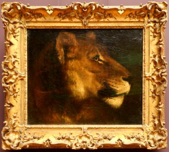 Théodore géricault, tetsa di leone, 1819 ca