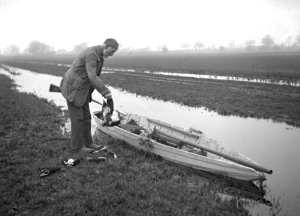 Throwing plover into punt YORYM-S647