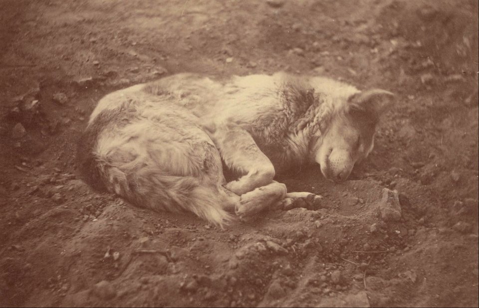 Théodule Devéria (French - (Sleeping Dog) - Google Art Project
