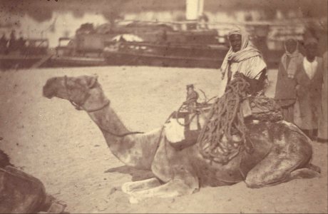 Théodule Devéria (French - (Camel with Native Men on the Bank of the Nile) - Google Art Project