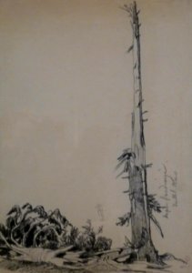 Théophile Schuler-Sapin foudroyé