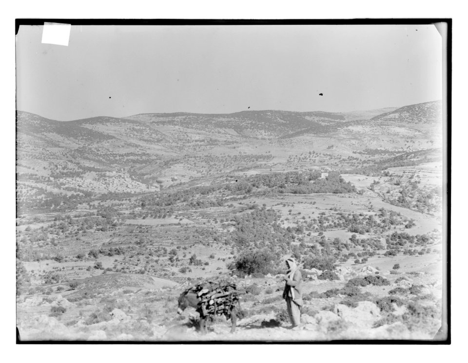 Tibna, northwest of Jerusalem, etc. Modin, distant view LOC matpc.11762