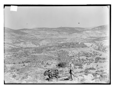 Tibna, northwest of Jerusalem, etc. Modin, distant view LOC matpc.11762