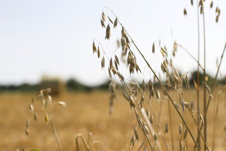 Farm agriculture rural