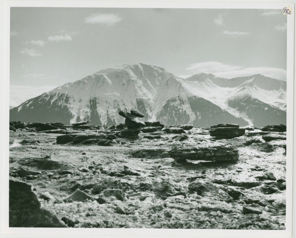 Tidal zone (Turnagain Arm) (33417674802)