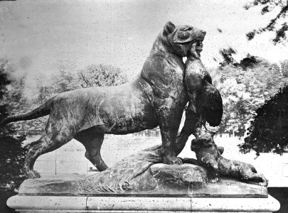 Tigresse apportant un paon à ses petits by Auguste Cain