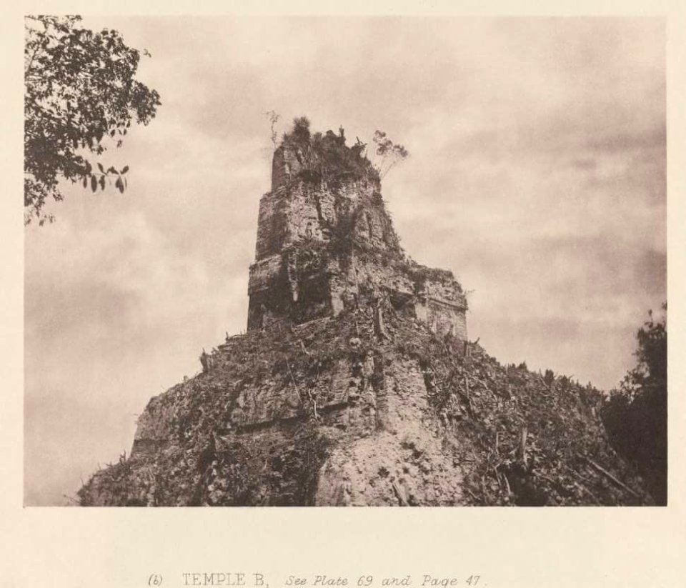 TikalTempleII1902Maudslay