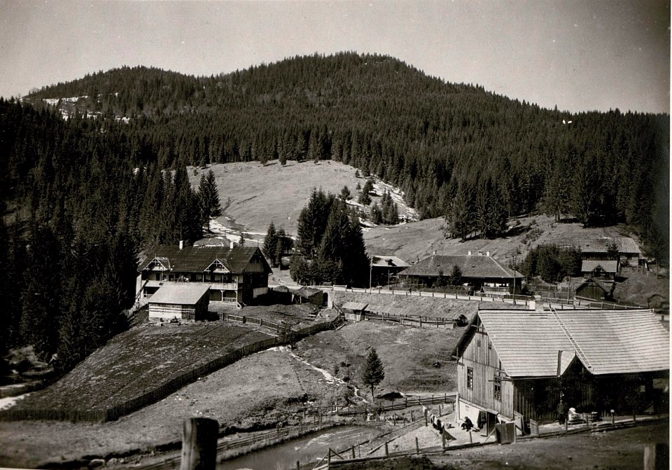 Tihucza (BildID 15718713)