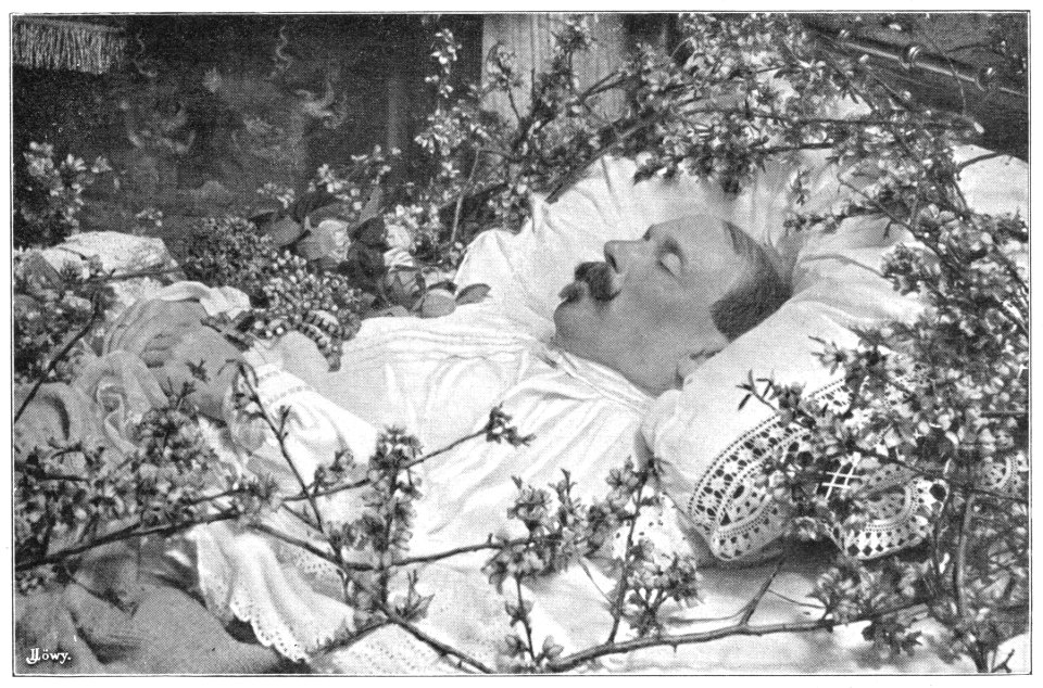 Tilgner, Victor 1844-1896 Totenbett - J. Löwy