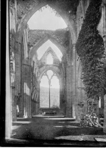Tintern Abbey ruins (4641166)