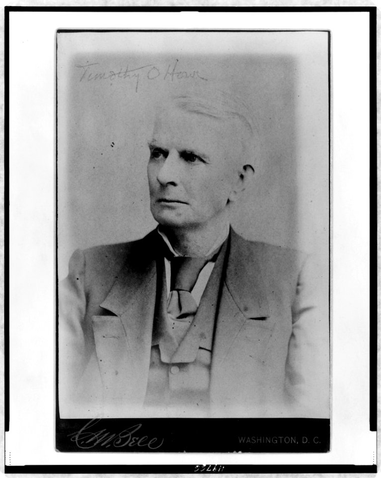 Timothy O. Howe, head-and-shoulders portrait, facing left) - C.M. Bell, Washington, D.C LCCN97519897