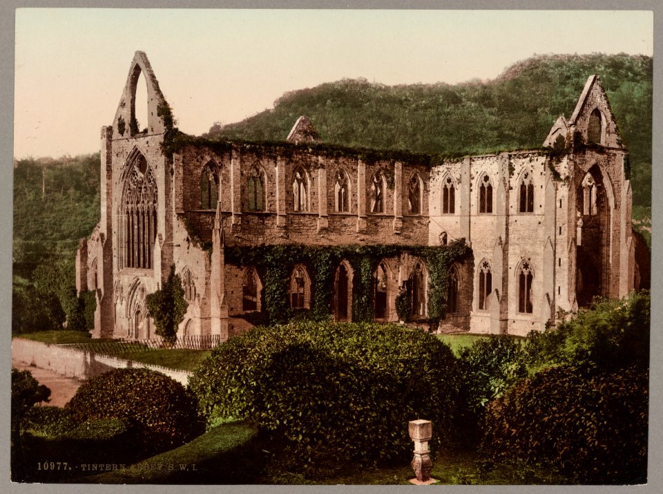 Tintern Abbey. S.W. I. LCCN2017659756