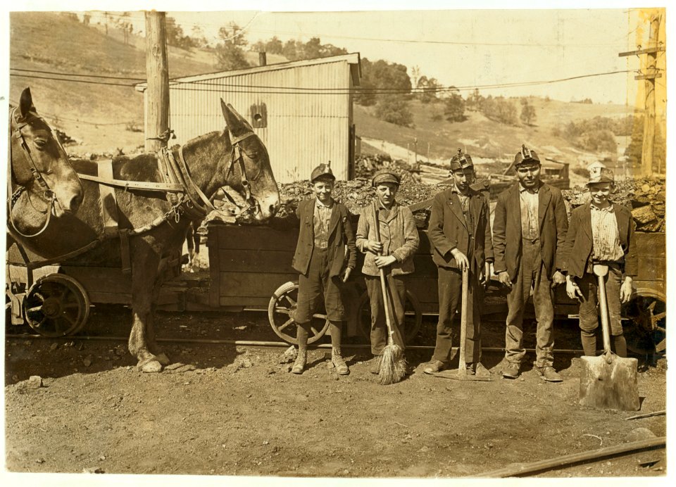 Tipple Boy and Drivers. Maryland Coal Co. Mine, near Sand Lick, Grafton, W. Va. Boy with mule was afraid at first to be in the picture- another boy said he feared we might make him go to LOC cph.3b02436