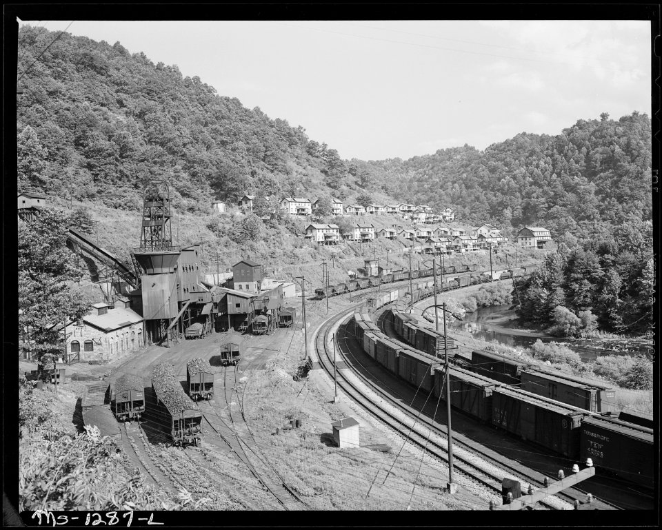 Tipple, housing and coal cars. New River Pocahontas Corporation, Cables Mine, McDowell County, West Virginia. - NARA - 540768