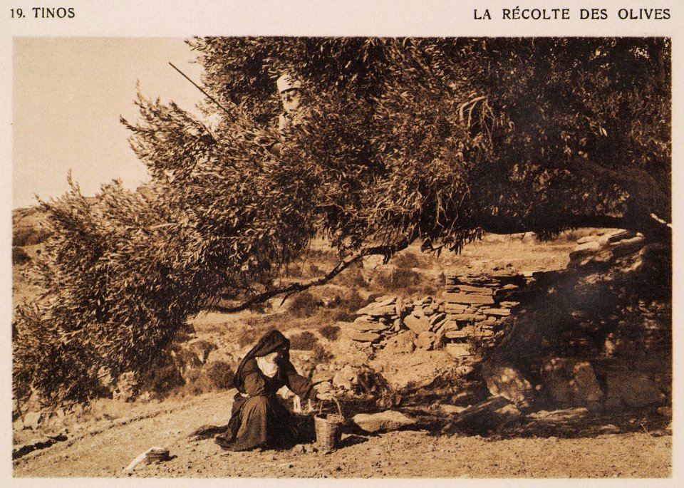 Tinos – La Récolte des Olives - Baud-bovy Daniel Boissonnas Frédéric - 1919