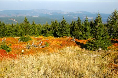 National park nature light