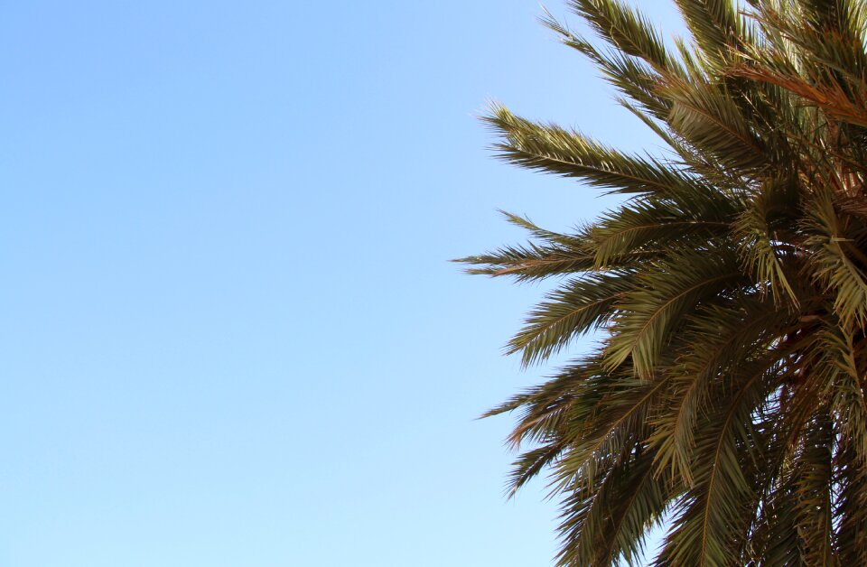 Summer vacations blue sky
