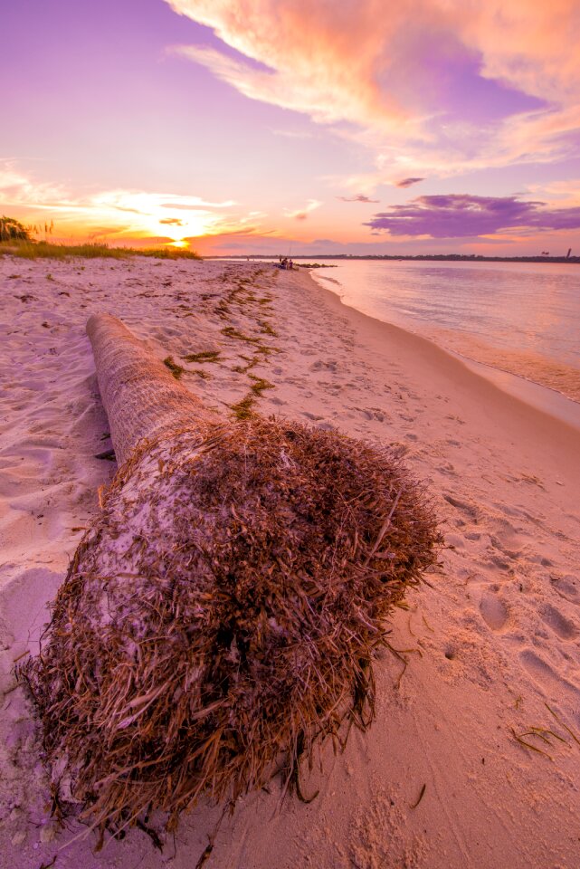 Gulf coast florida sunset