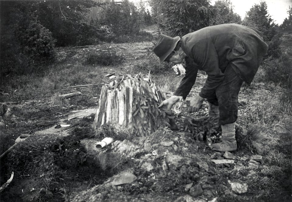 Tjärbränning. Tjärmila täckes med granris - Nordiska museet - NMA.0052057