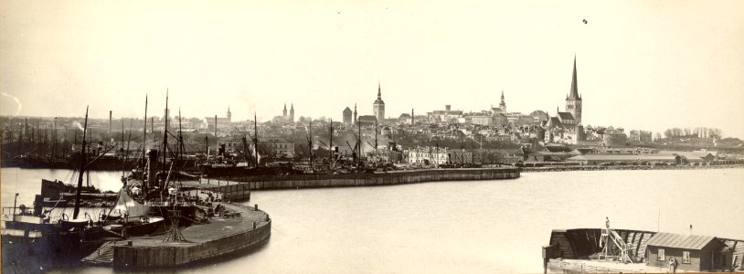 TLA 1465 1 8927 Tallinna sadam Esiplaanil kai ääres seisev laev ja kail hobuvankrid, taamal linna siluett 19 saj II pool