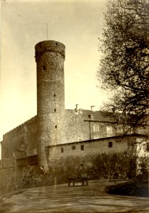 TLA 1465 1 8681 Pikk Hermann 1900 1915 fotogr August Sakaria (Sakarias)