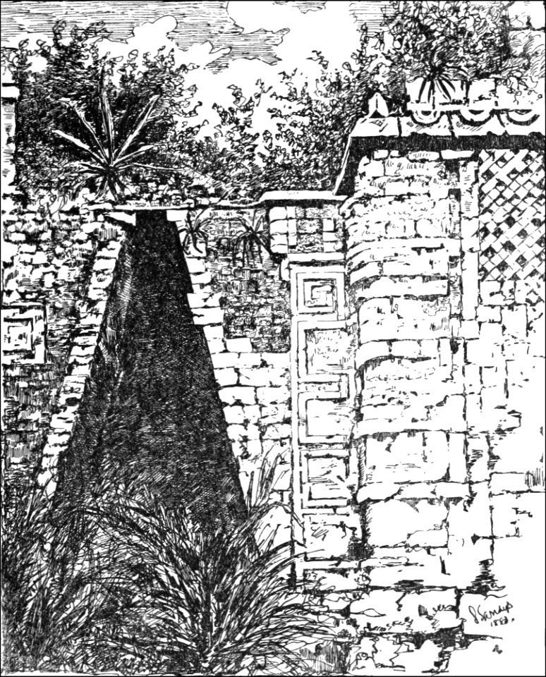 TLM D085 The Maya arch