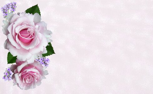 Pink flowers decoration photo
