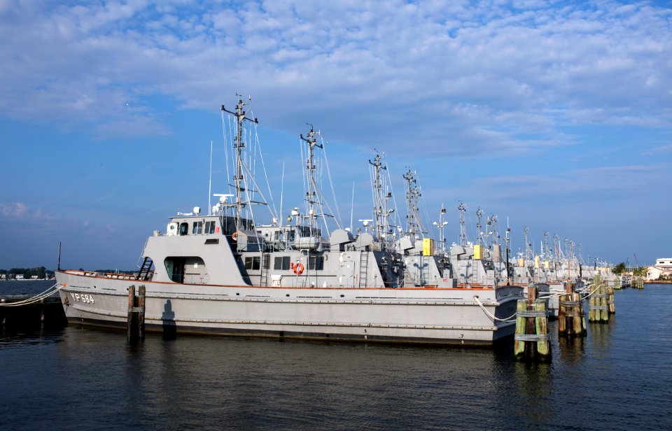 TMC 0146 (36372780353)