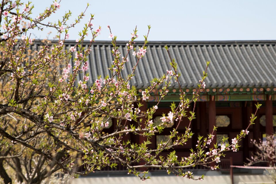 Nature garden republic of korea