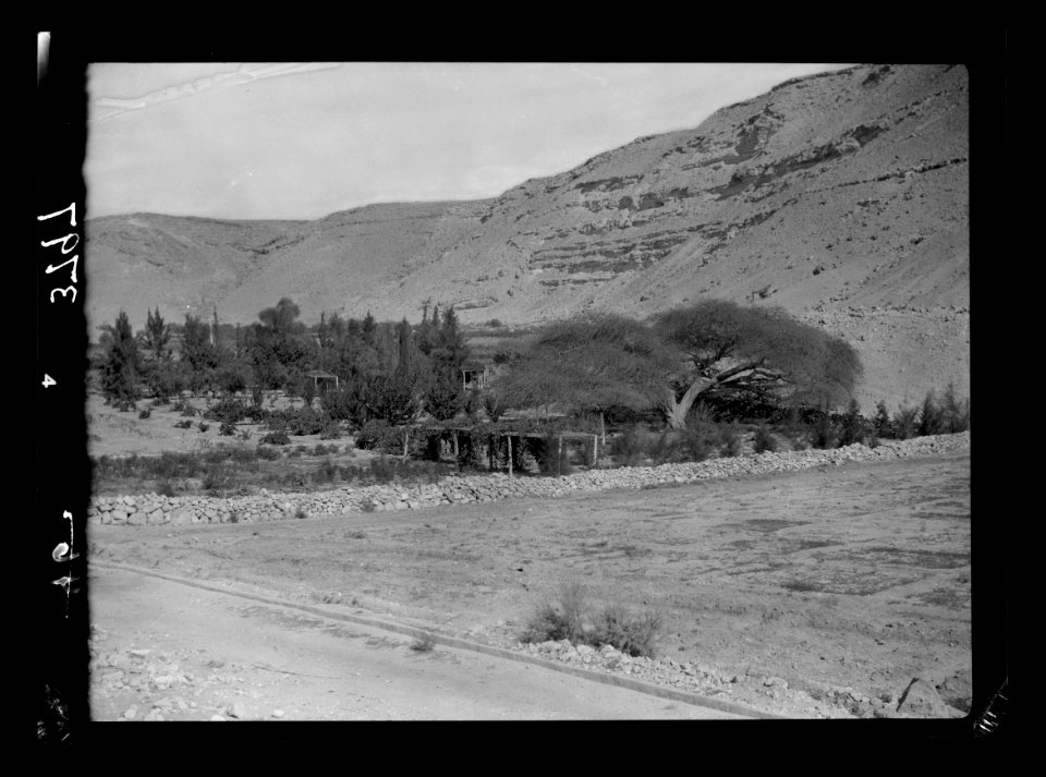 To Sinai by car. Ain Gedeirat. Possibly Kadesh Barnea of Num. 32-8, etc. LOC matpc.15542