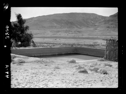 To Sinai by car. Ain Gedeirat. The large pool LOC matpc.15545