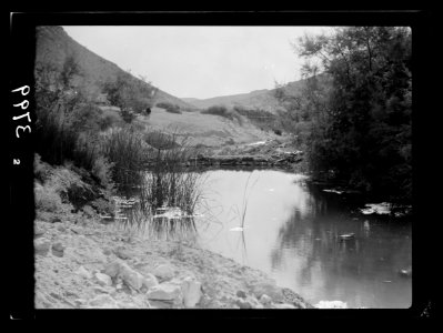 To Sinai by car. Ain Gedeirat. The augmented stream further down the valley LOC matpc.15544