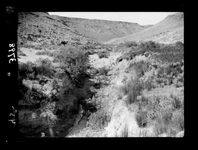 To Sinai by car. Ain Gedeirat. Source of the spring LOC matpc.15543