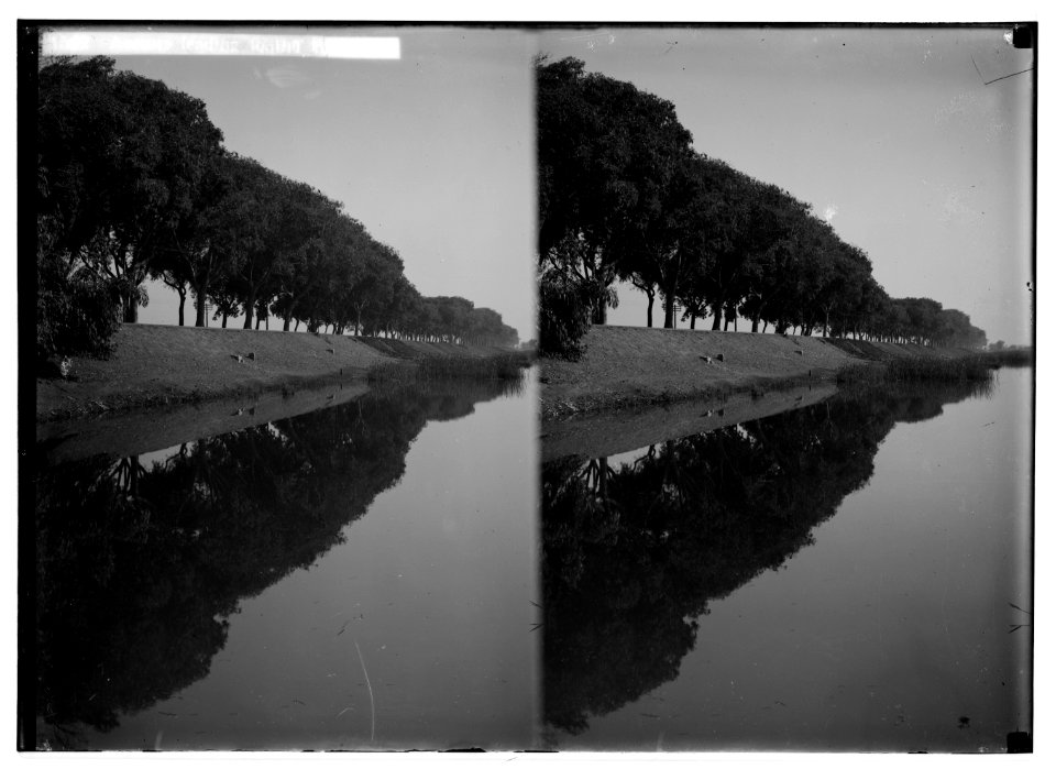 To Sinai via the desert. Avenue leading to the pyramids. LOC matpc.01934
