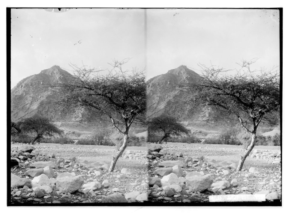 To Sinai via the desert. Jebel Tahuneh. LOC matpc.01964