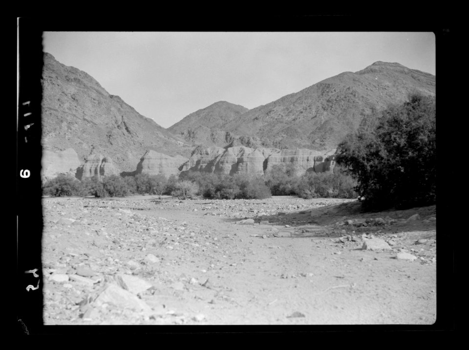 To Sinai by car. Wadi Feiran. 'Holms' in the valley LOC matpc.15564