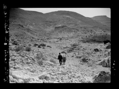 To Sinai by car. Route from El Kossaima to Ain Kadeis LOC matpc.15546