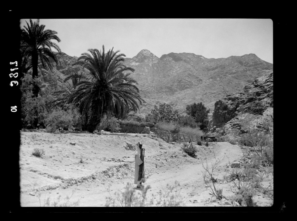 To Sinai by car. Wadi Feiran. El Mahrad. (Peran) head of the wadi LOC matpc.15562